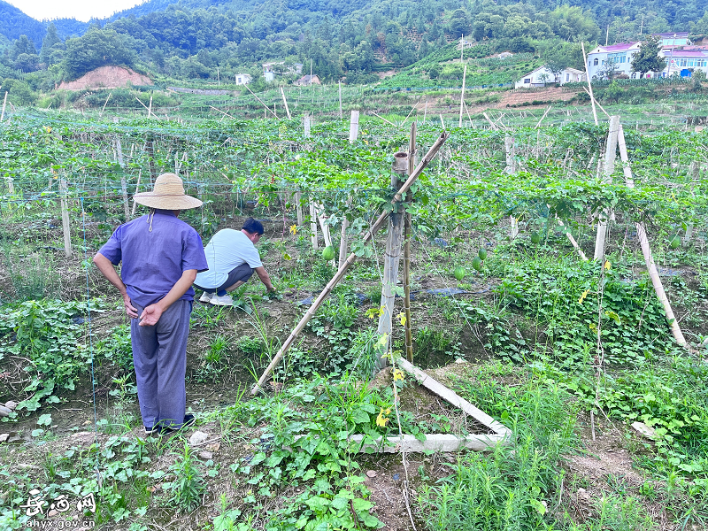 姚河乡科协扎实开展“送科技下乡”活动